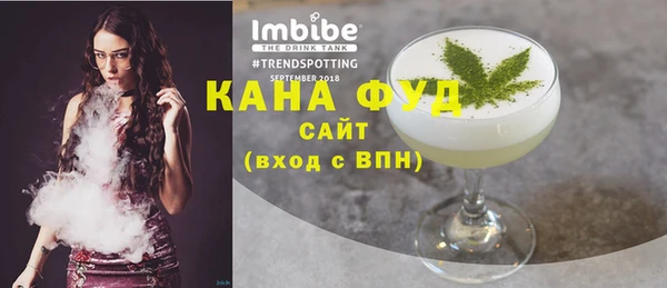 индика Саяногорск
