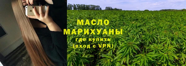 индика Саяногорск