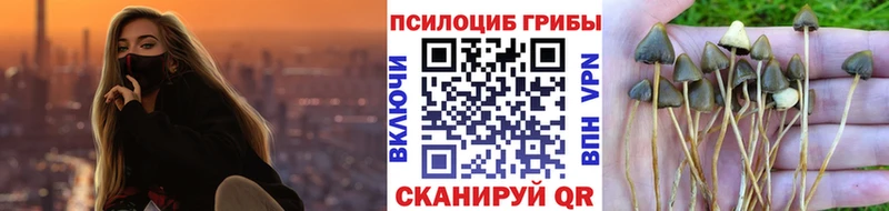 shop телеграм купить сайты Кемерово Галлюциногенные грибы ЛСД